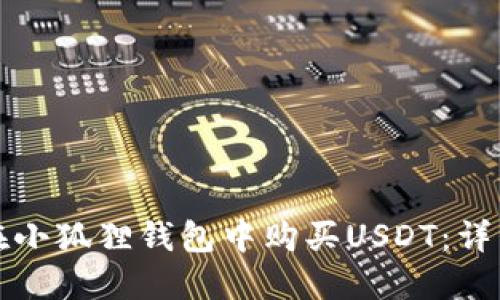 如何在小狐狸钱包中购买USDT：详细指南